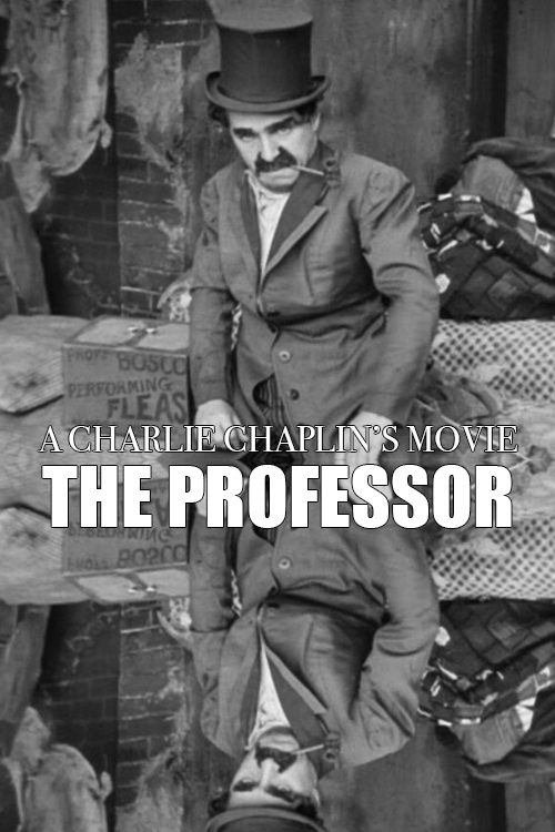 Постер The Professor